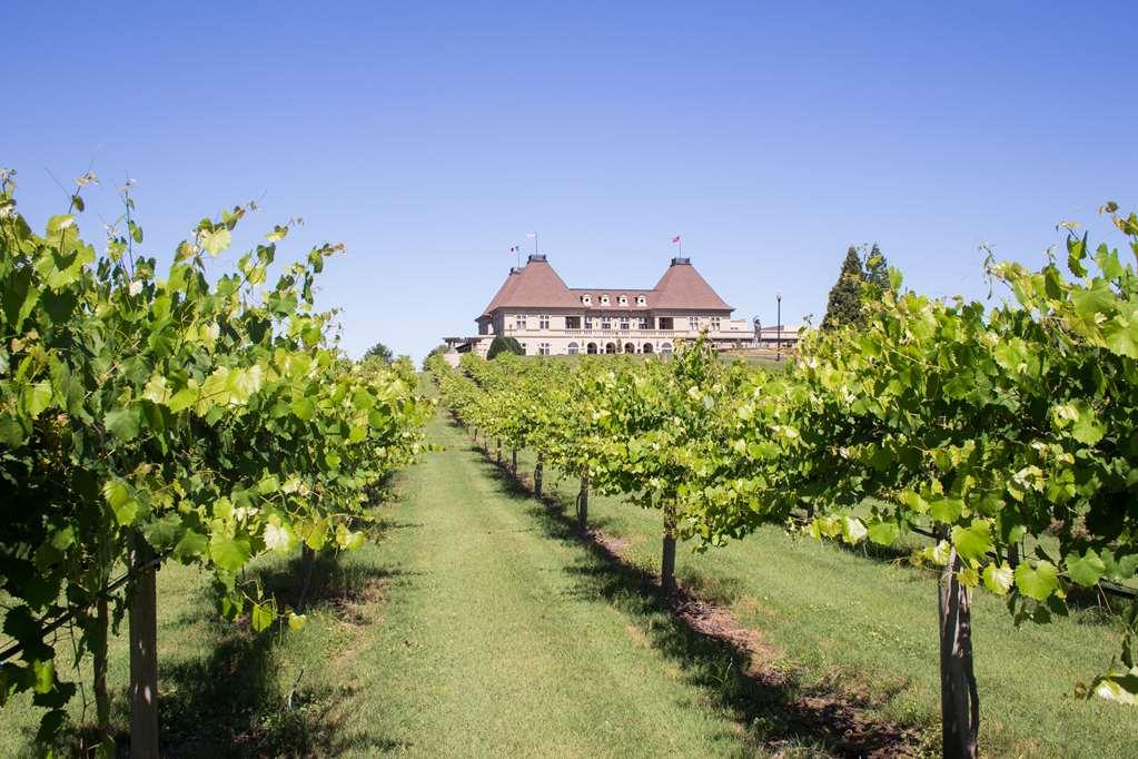 Chateau Elan Winery Braselton Dış mekan fotoğraf