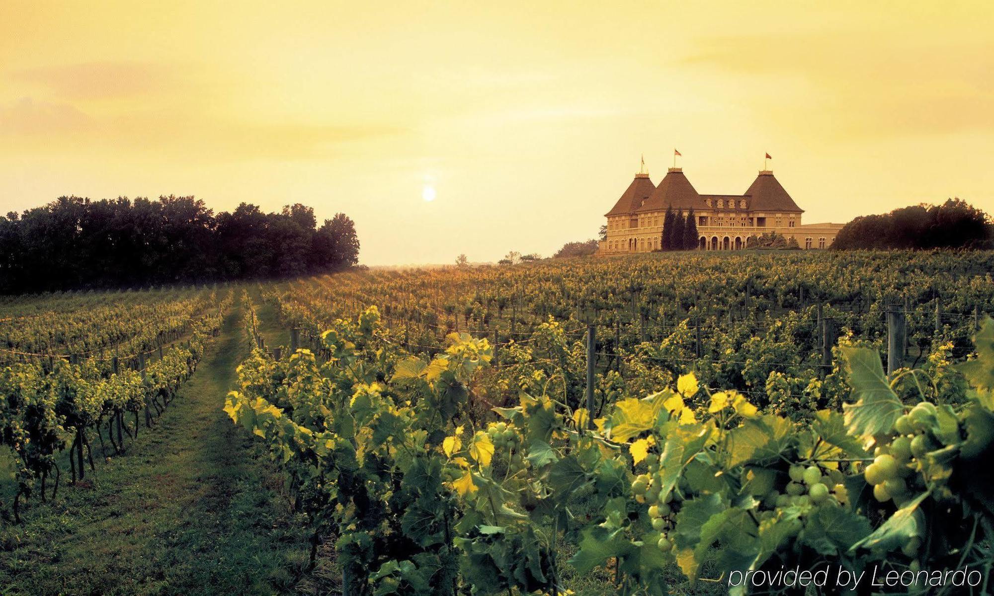 Chateau Elan Winery Braselton Dış mekan fotoğraf