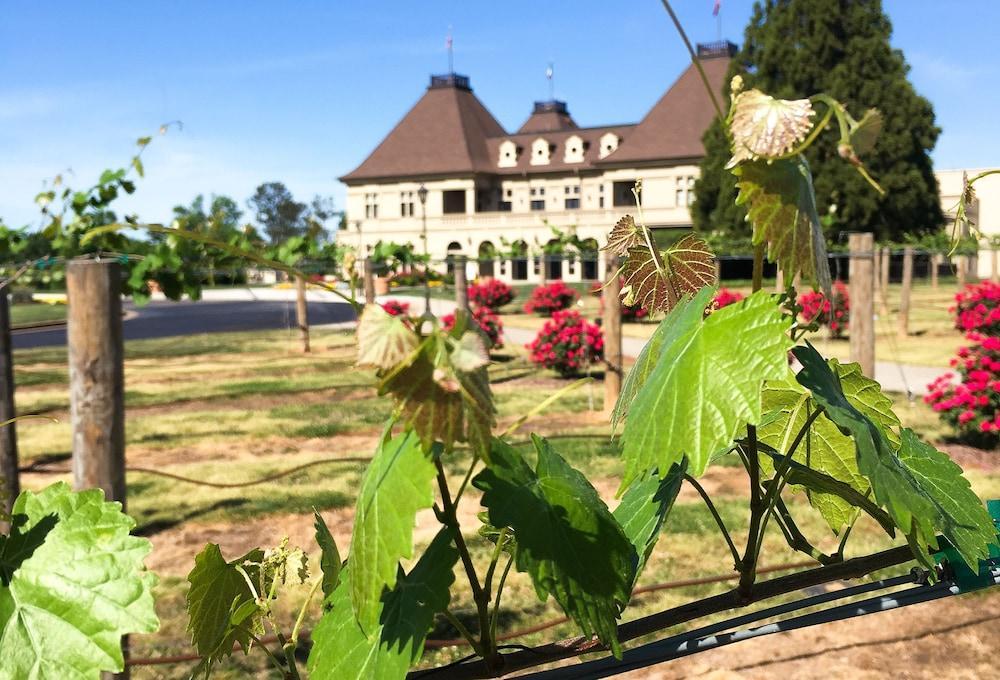 Chateau Elan Winery Braselton Dış mekan fotoğraf